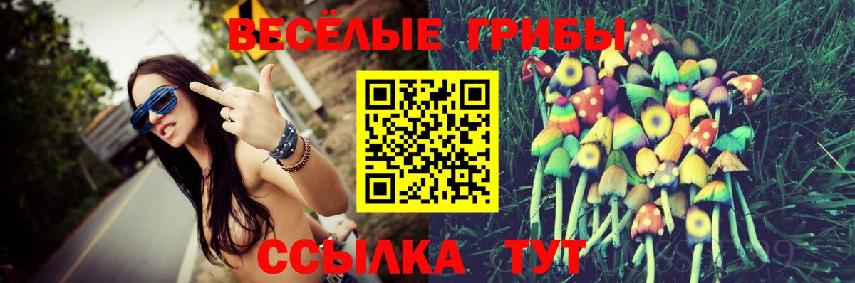 Богородск  Галлюциногенные грибы мухоморы  Вход с VPN 